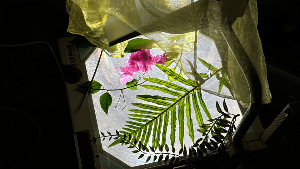 Atelier of Life