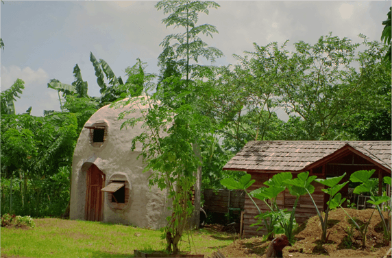 Campus View