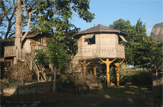 Campus View